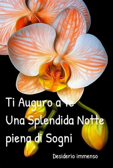 Se il festeggiato ama la natura, probabilmente l'augurio di buon compleanno in una immagine o una frase. Buonanotte con i fiori 10 immagini per i tuoi amici ...