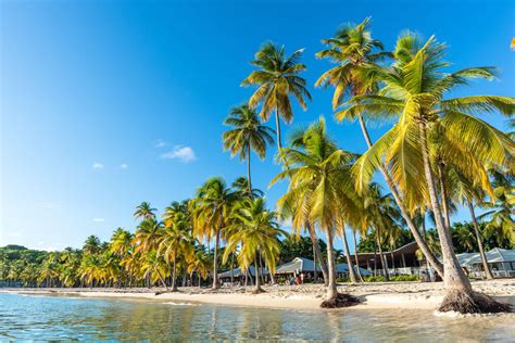 Best Things To Do In Guadeloupe France France Bucket List