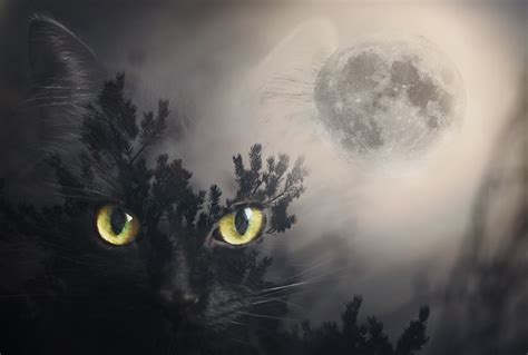 Mystic Moon By Thunderi On Deviantart