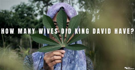 how many wives did king david have