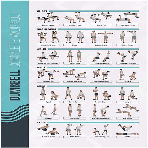 Vive Dumbbell Exercise Poster Home Gym Workout For Upper Lower Full