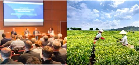 Why Are International Conferences On Agriculture Important