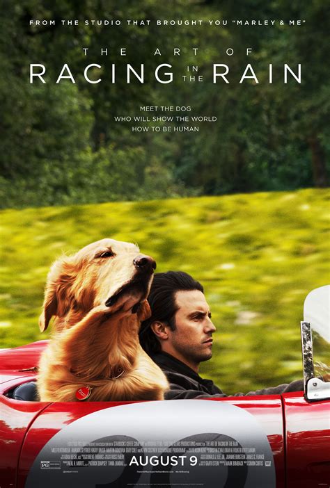 It means that love is primarily giving not receiving. THE ART OF RACING IN THE RAIN Dog Movie Features The Voice ...