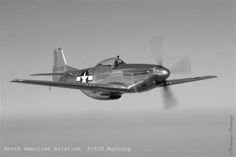 North American P 51 Mustang Great Planes Photo 24573939 Fanpop