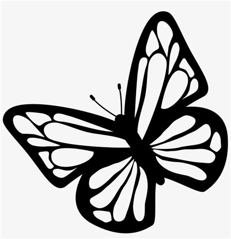 Butterfly Black And White Clipart Download Free Images - Free Butterfly