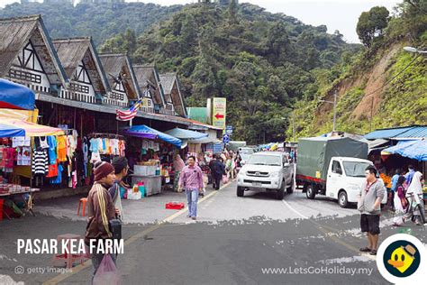 11 Tempat Menarik Di Cameron Highland © Letsgoholidaymy