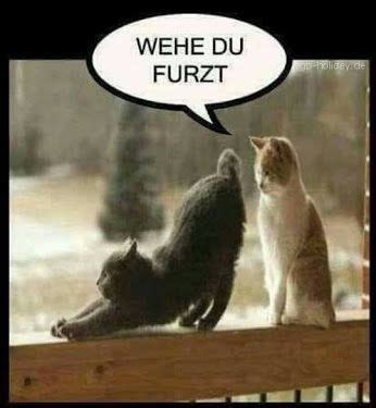 Neue lustige witze zum totlachen, die du garantiert noch nicht kanntest! Power Plus - Lustiges - Community - Google+ | Lustige ...