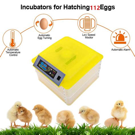 Buy Digital Display 112 Egg Hatcher Incubator For Hatching Eggs With Automatic Turner