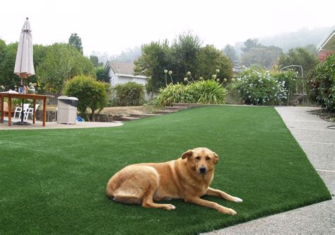 Here's another quality artificial grass solution for a satisfying dog run you always wanted. Artificial or Synthetic Grass for Dog Run Areas