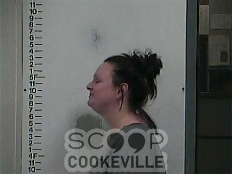 How to beat a drug trafficking charge? JESSICA DILLON booked on charge of: Aggravated Criminal ...