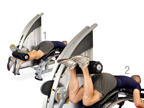 How To Safely Use The Leg Press Leg Curl And Leg Extension Machine