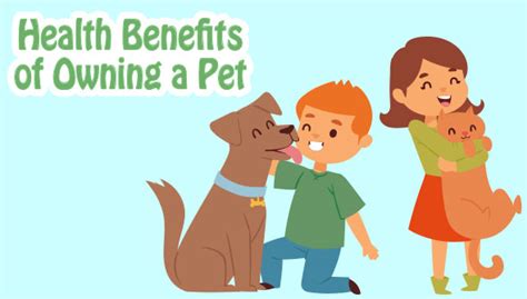The Health Benefits Of Having A Pet Why Having A Pet Is Beneficial To