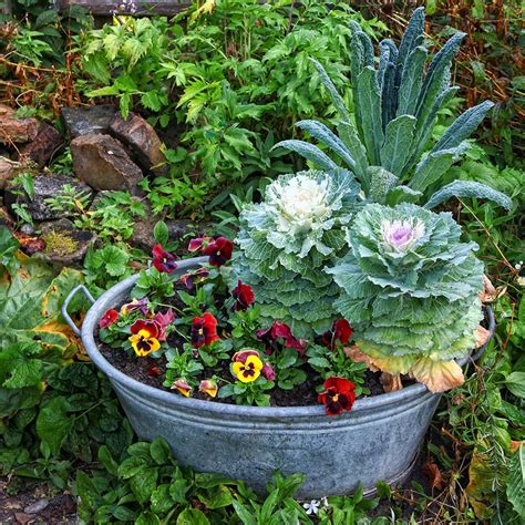 Be Inspired With Fall Gardening Trends The Home Depot