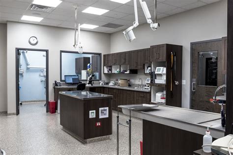 Glendale Animal Hospital Clinic Interior Design Clinic Design