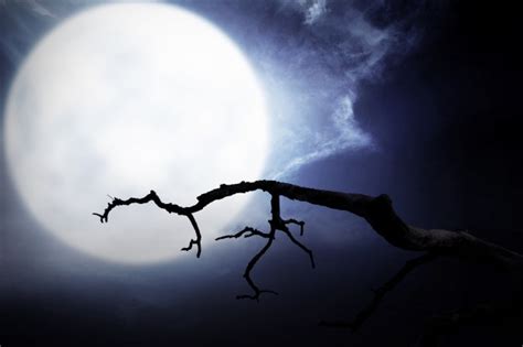 Scary Night Scene With Branch Full Moon And Dark Clouds