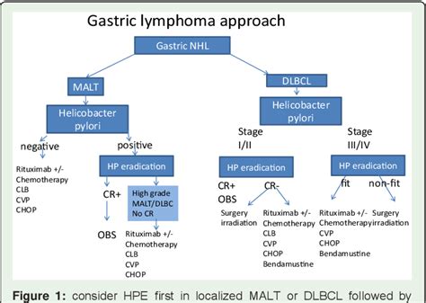 Figure 1 From Primary Gastric Lymphoma Semantic Scholar
