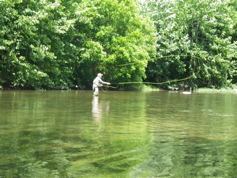 Flyfishing On The North Fork Of The Shenandoah River For Smallmouth