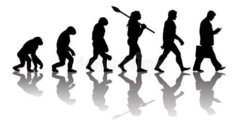 Theory Of Evolution Of Man Silhouette With Reflection Stock Vector