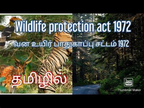 Wildlife protection act, 1972 objects and features schedule i animals, challenges issues with wildlife protection act in india it no longer exists in the wild, a few individuals are under captive protection; Wildlife protection act 1972 in Tamil / வனவிலங்கு ...