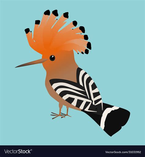 Cute Eurasian Hoopoe Royalty Free Vector Image