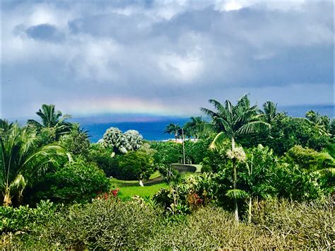 640 x 480 jpeg 36 кб. Maui Plumeria Gardens