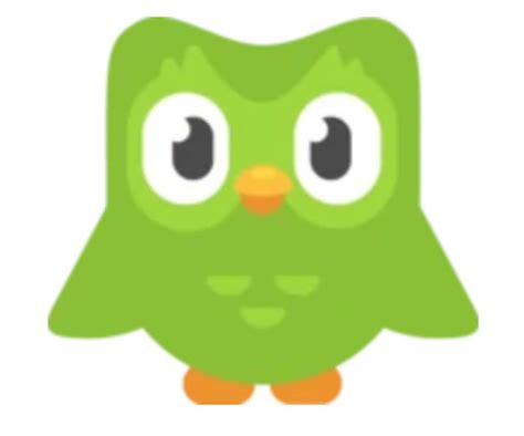 Duo The Duolingo Owl Cross Stitch Charm Etsy