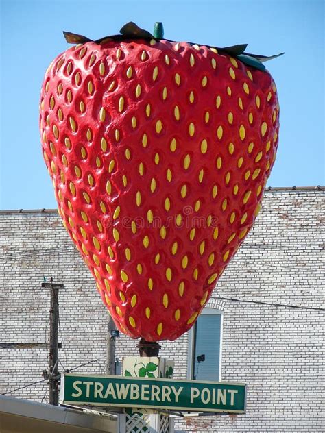 World`s Largest Strawberry In Iowa Editorial Photography Image Of