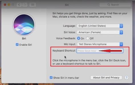 How To Use Siri On The Mac Macos Big Surcatalina Mojave Sierra