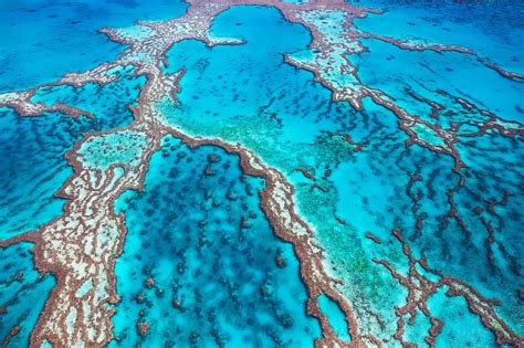 Great Barrier Reef Luxury Travel Guide