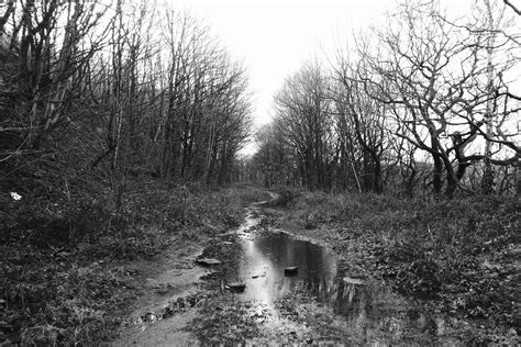 Old Railway Trackbed Thongsbridge Former Holmfirth Branc Flickr