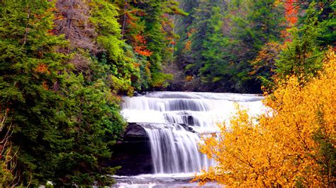 Waterfall Stream On Rock Between Autumn Fall Green Red Yellow Trees