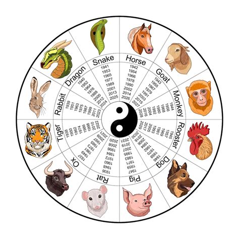 Roue Du Zodiaque Chinois Avec Douze Animaux Et Noms Danimaux Yin Yang