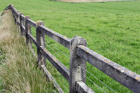 When someone is not satisfied with their own lot in life and always assumes that there are better things in other places. Common Phrases that Grew from Grass - Biograss