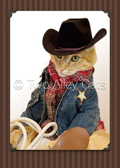 Two Alley Cats Cowboy Birthday Alley Cat Kitty Cowboy