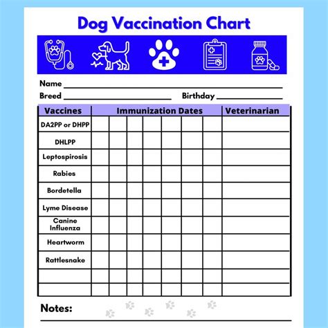 Puppy Vaccination Schedule India Ubicaciondepersonascdmxgobmx