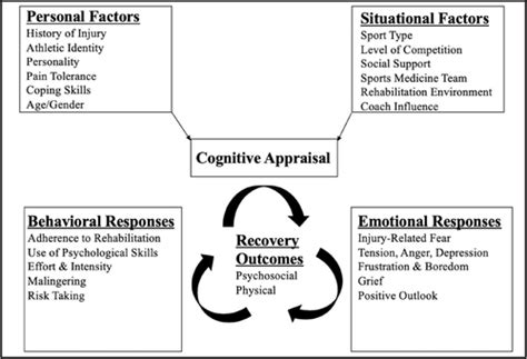 The Stress And Injury Model And Cognitive Appraisal Model Implications