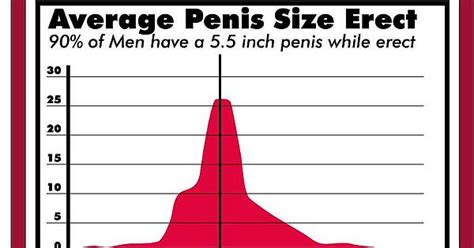 Average Penis Size Chart Imgur