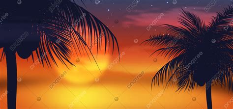 Тропическая кокосовая пальма лето ночь звездное небо баннер фон