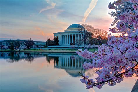 Thomas Jefferson Memorial At Cherry Blossom Time