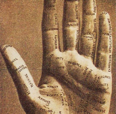 Art Of Palmistry Palm Reading Art 2 Pages From Promotional Etsy
