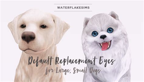 Day Dreaming Default Pet Eyes Replacement For The Sims 4 Spring4sims
