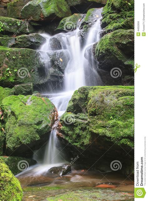 Waterfall And Rocks Covered With Moss Stock Photo Image Of Landscape