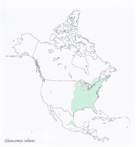 Glaucomys Volans Range Map Southern Flying Squirrel