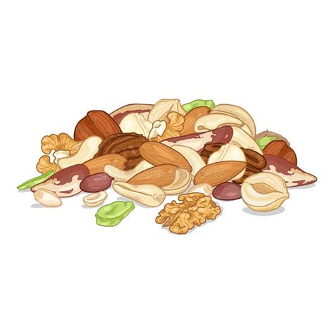 Pile Of Different Nuts Organic Food Vector Cartoon Illustration Stock