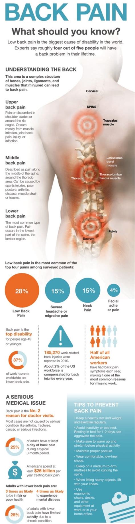 What Is Causing My Back Pain Lumbago Health Life Media