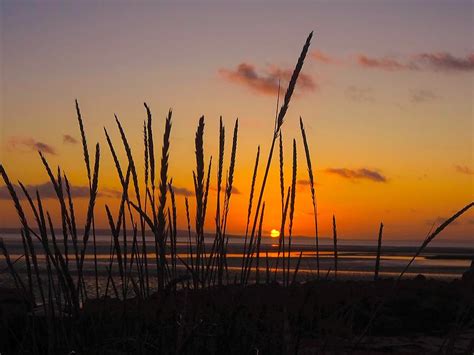 Sunset With Beach Grass Photograph By Joanne Ward Fine Art America