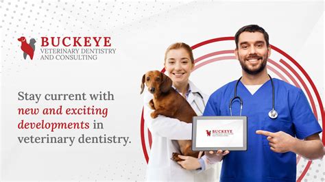 Dental Lectures Midwestern Veterinary Dentistry