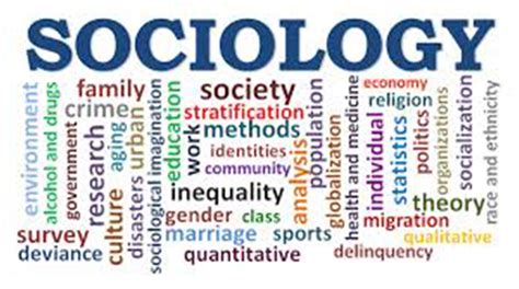 Understanding Sociological Perspectives The Sunday News