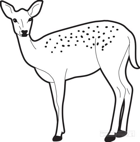 Deer Black White Outline 914 Classroom Clip Art