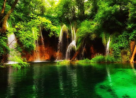 1920x1080px 1080p Free Download Forest Fall Forest Fall Greenery